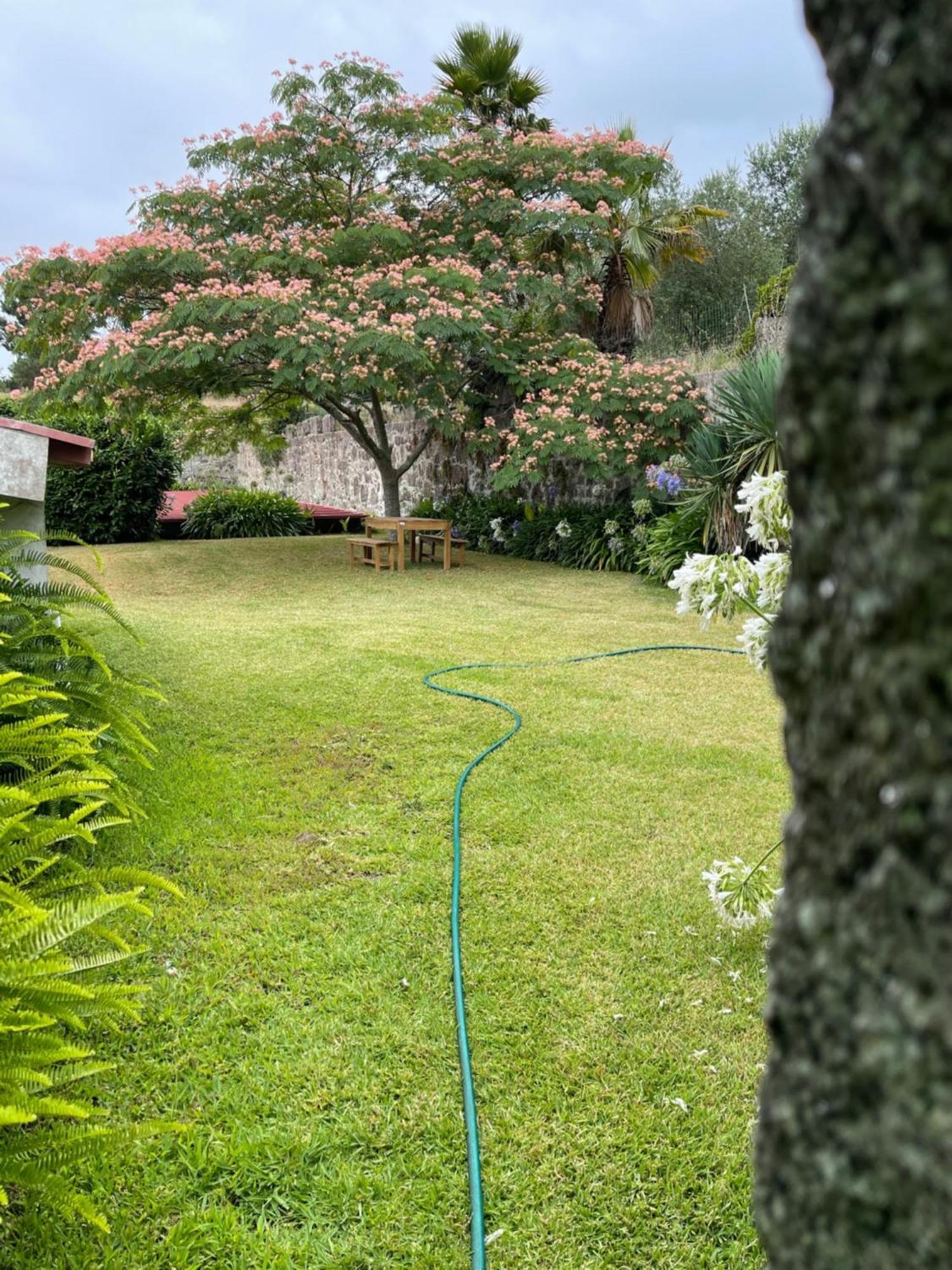 Quinta Da Fonte - Agroturismo Barroselas Экстерьер фото