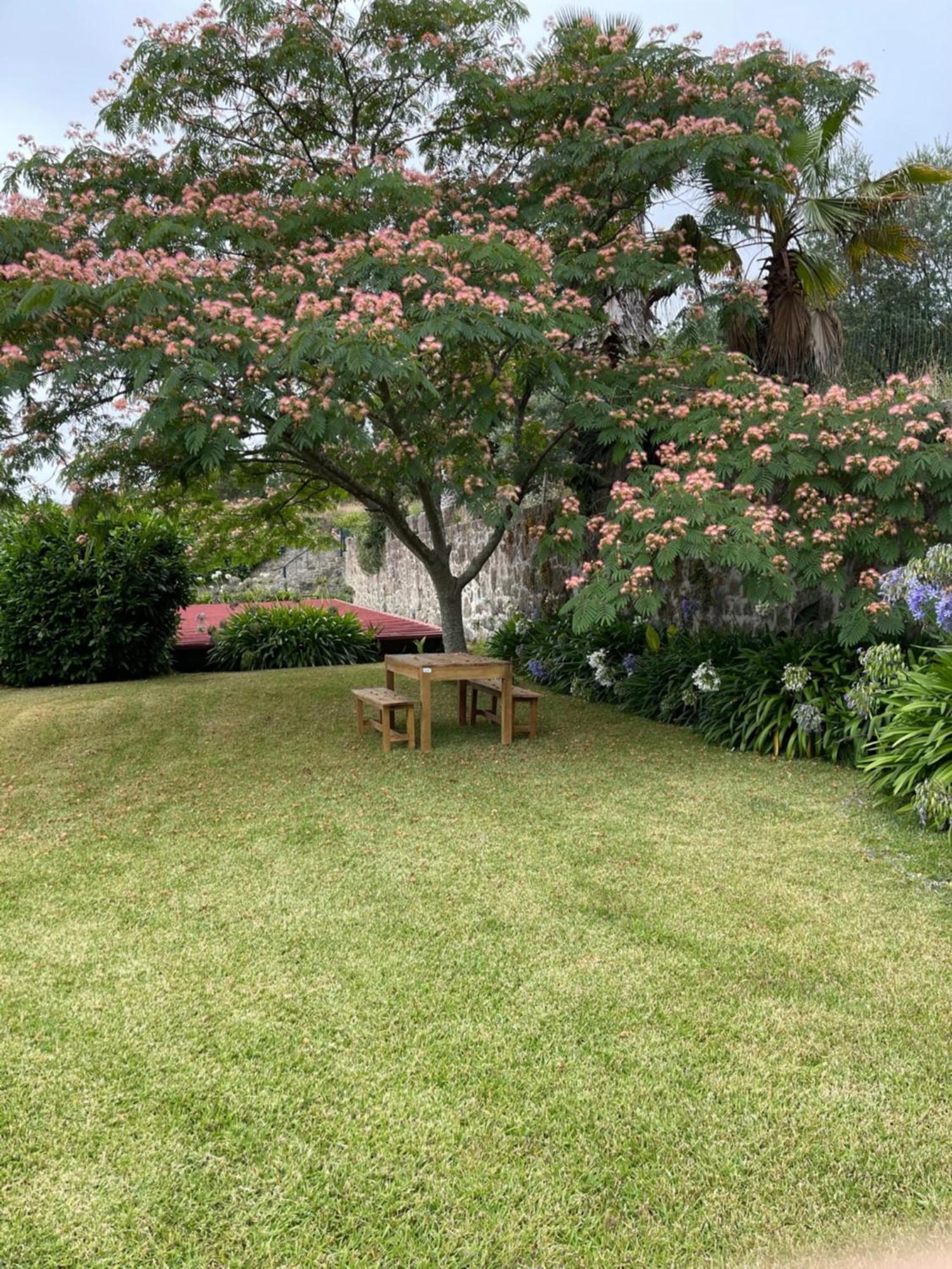Quinta Da Fonte - Agroturismo Barroselas Номер фото